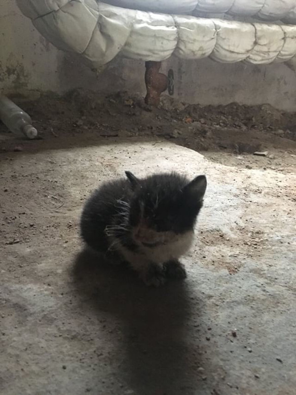 7D478017-4040-405A-B7B8-64BBBBB57A1E