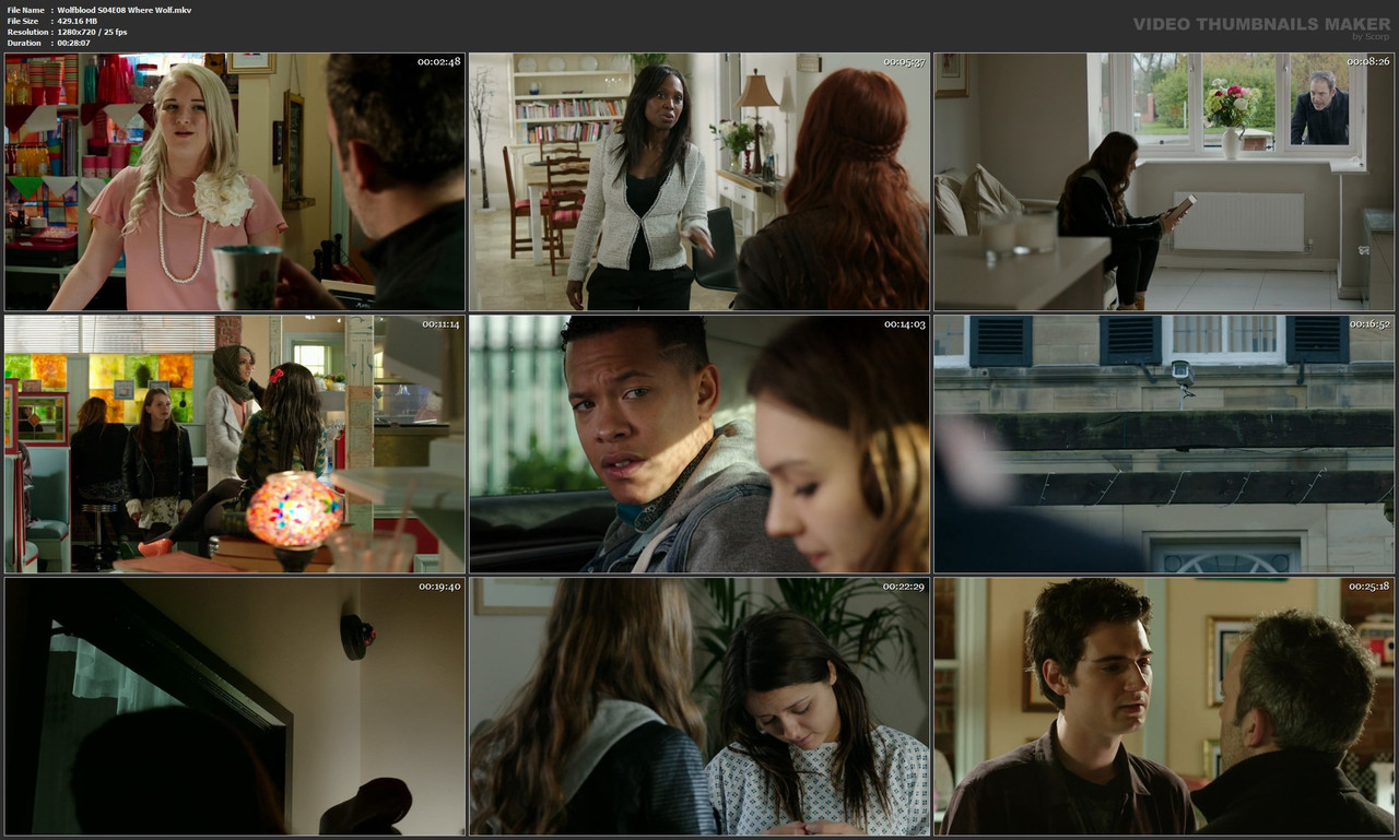 Wolfblood S04E08 Where Wolf.mkv