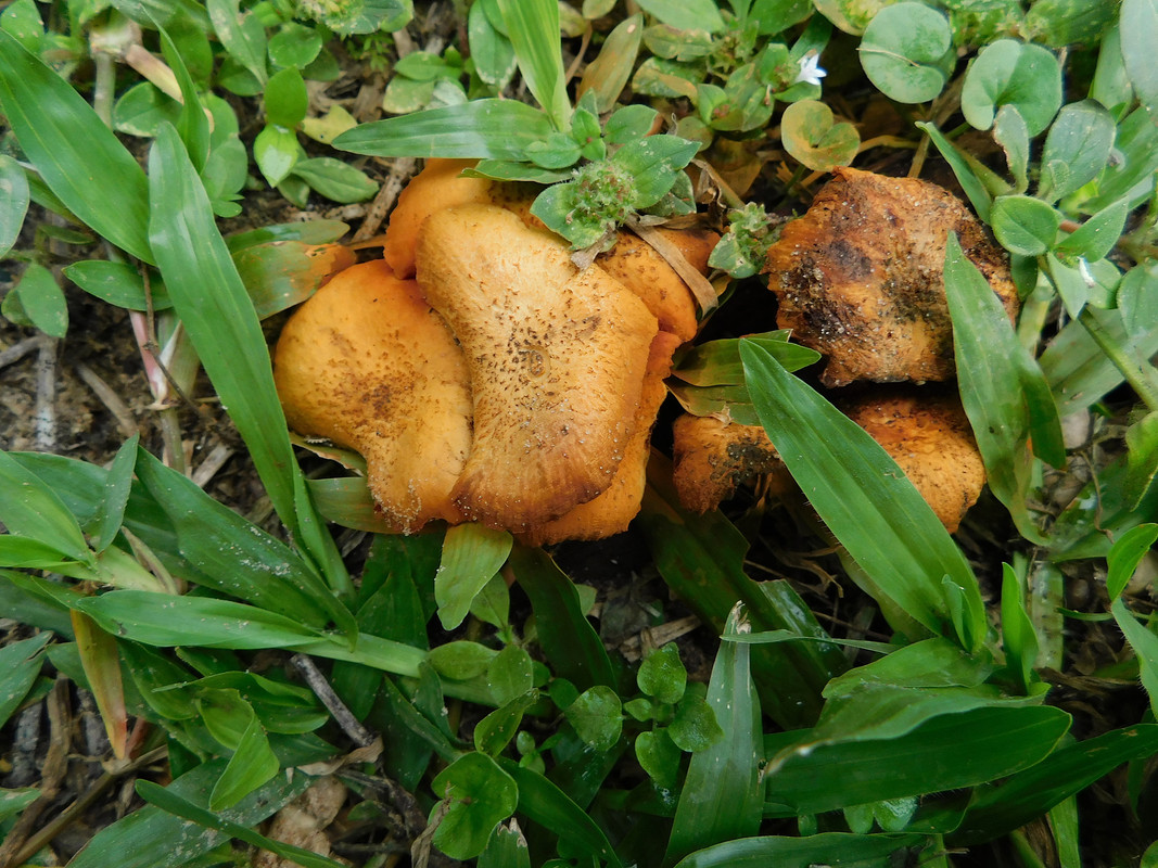DSCN0020.jpg