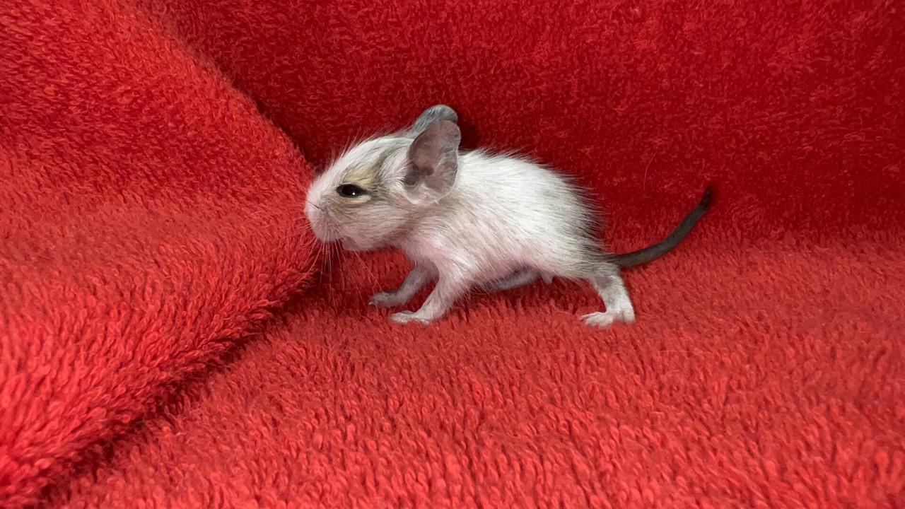 EF65B318-3EE6-4FB3-9286-A70A286E66D9