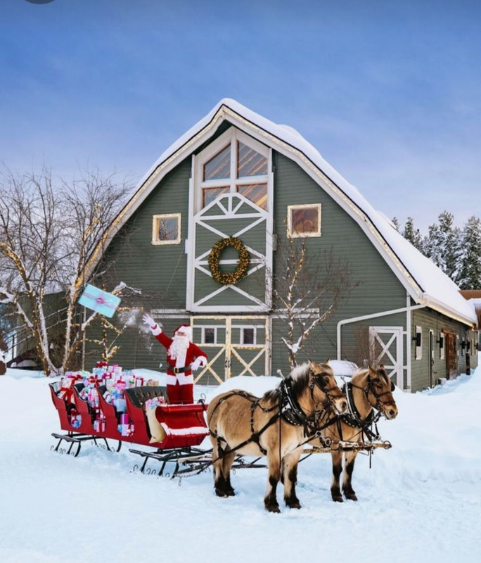 Screenshot_20231115_235952_Pinterest