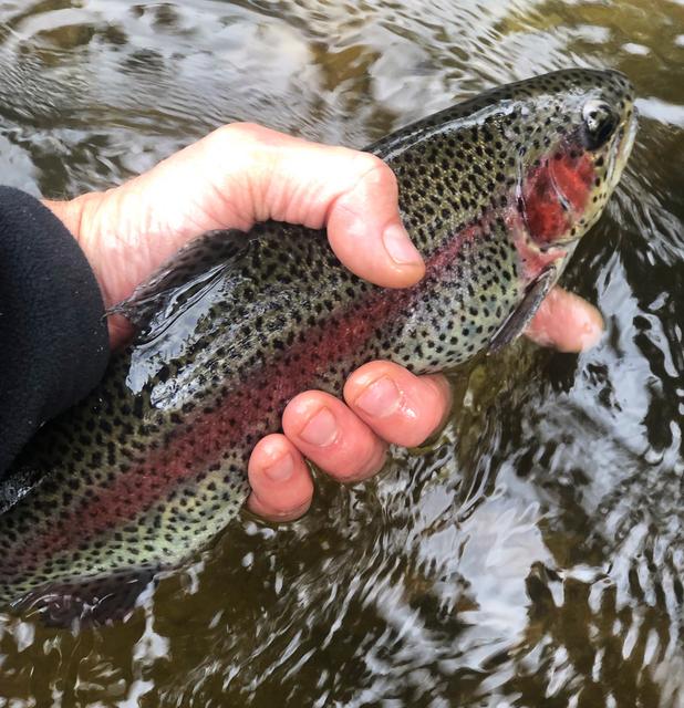 A5D0A4B8-26A6-4FEE-838C-D3AFCB4661A2