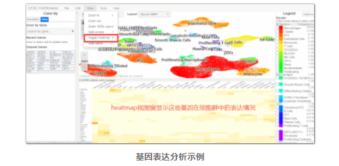 单细胞数据可视化工具-4.png