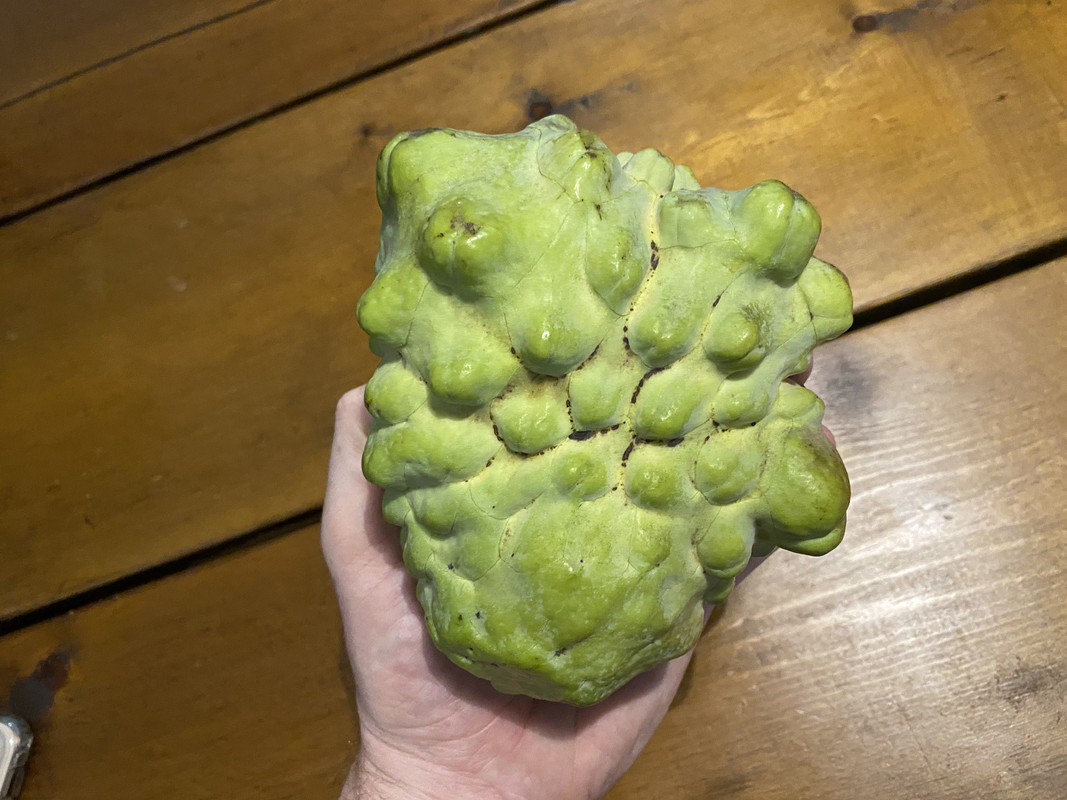 BC7E616D-DDAC-4222-9ED8-395C4959AC67