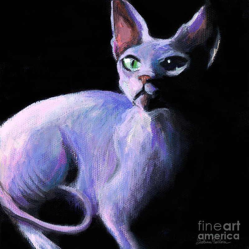 17-dramatic-sphynx-cat-print-painting-svetlana-novikova