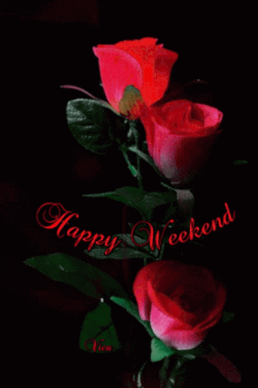 An den Beitrag angehängtes Bild: https://i.postimg.cc/MGGPH2cv/oie-2871440-FIy7n-BX7.gif