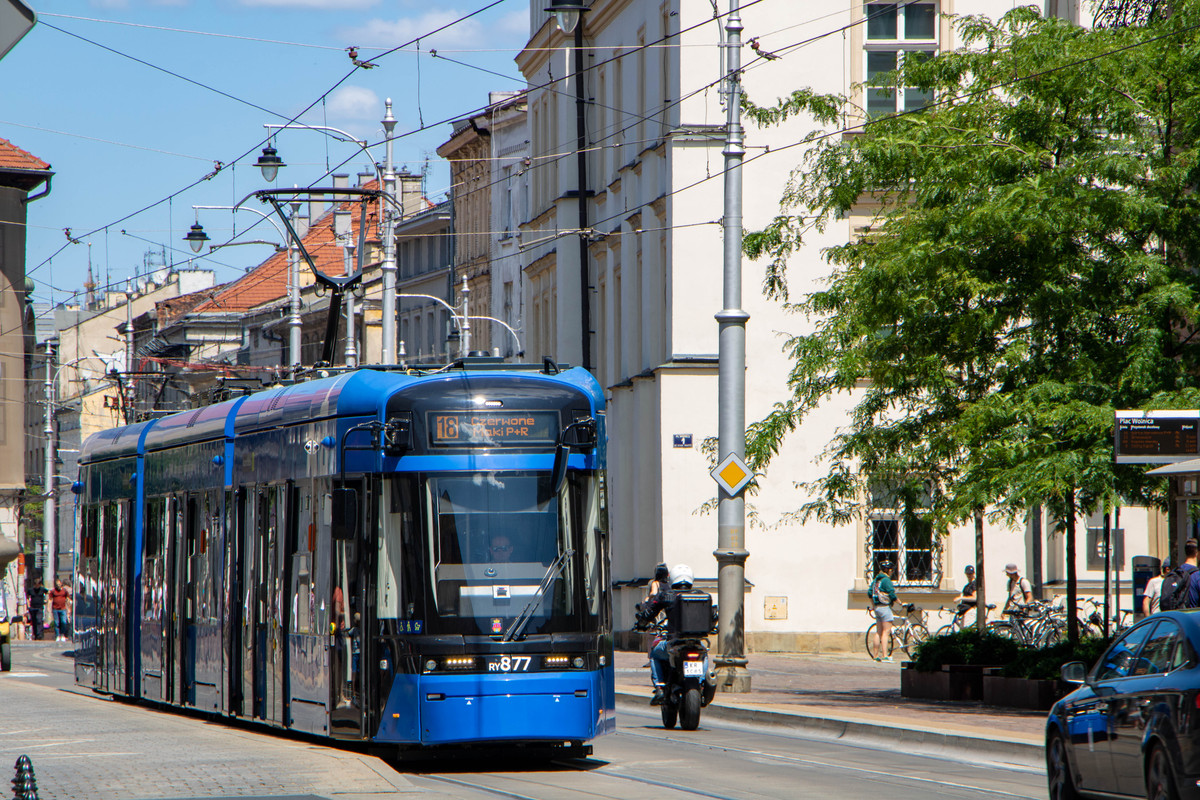 RY877.jpg