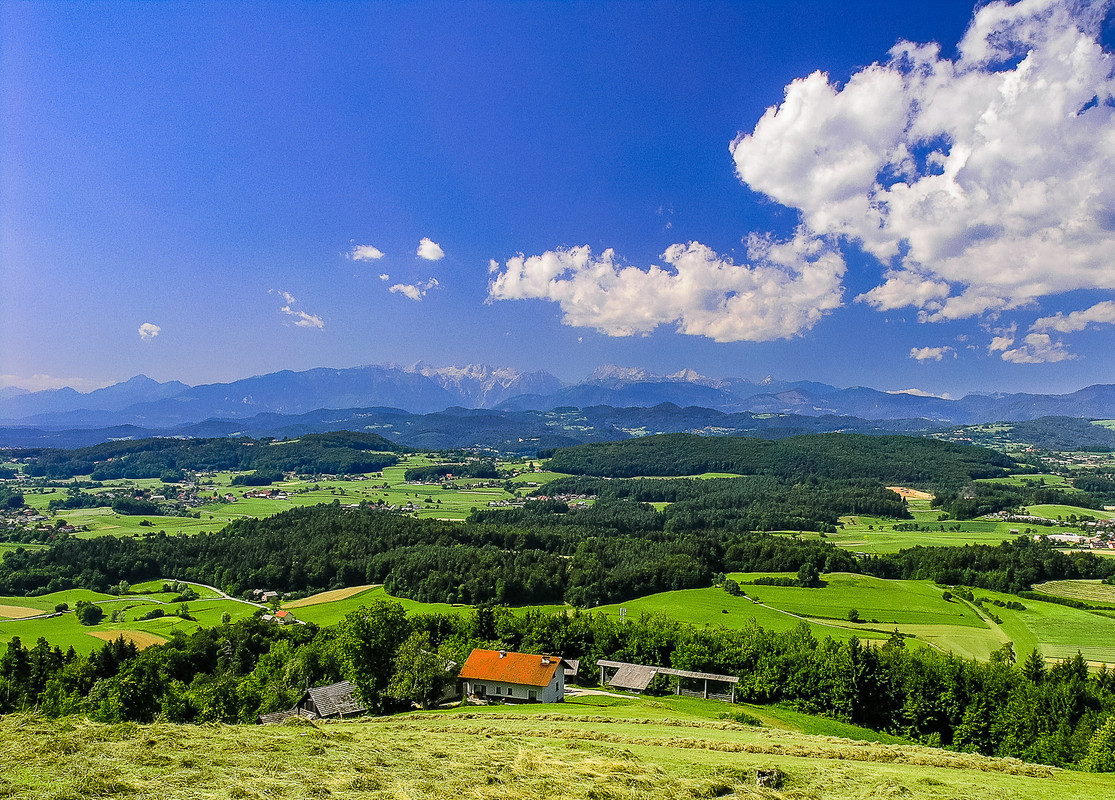 N-48681955716-a520d2eba8-k.jpg