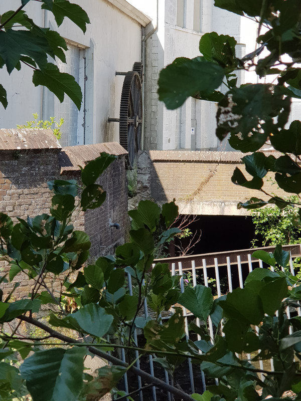 Pieter. Kruitmolen 05 Valkenburg 20-07-2018