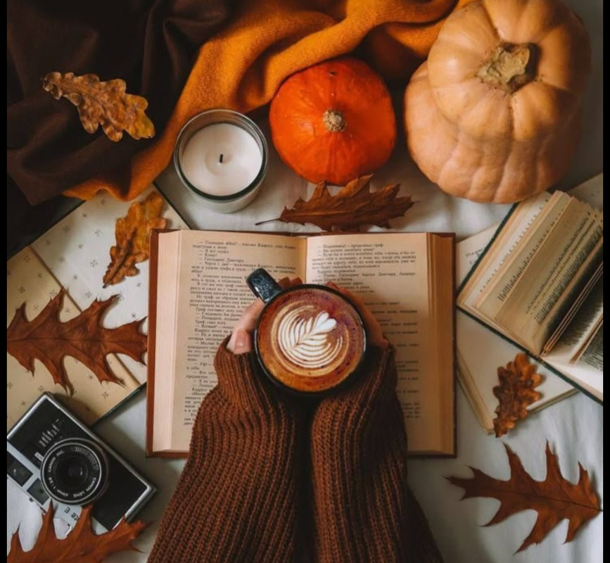 Screenshot_20251007_181217_Pinterest