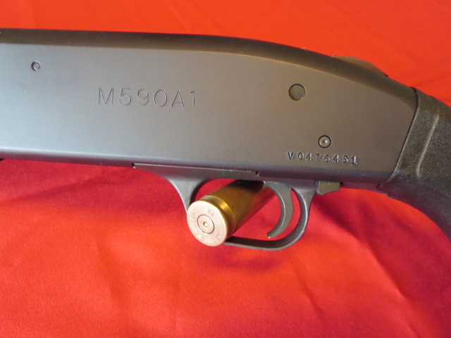 Waff-ank-Clearwater-019