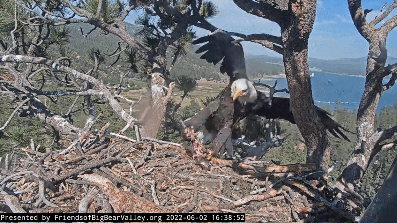 Webp.net-gifmaker (2)