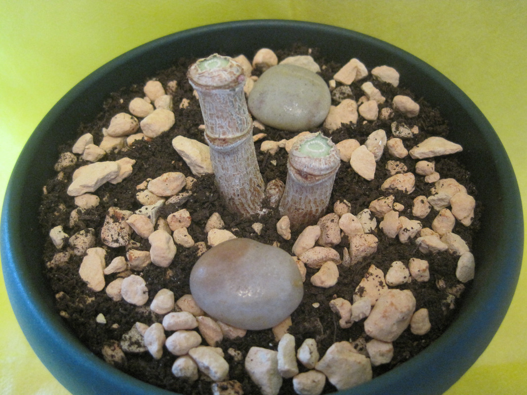 25 февраля 2022 г