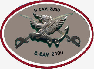 CCav400-310