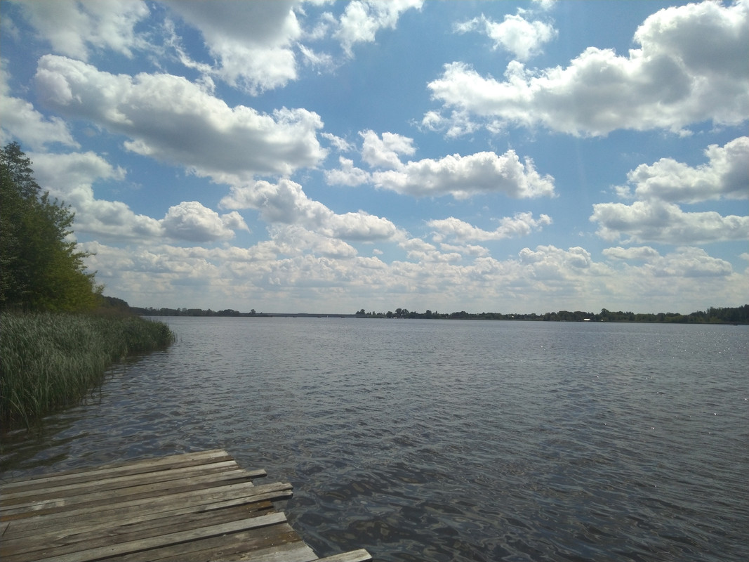 IMG_20220531_114207.jpg