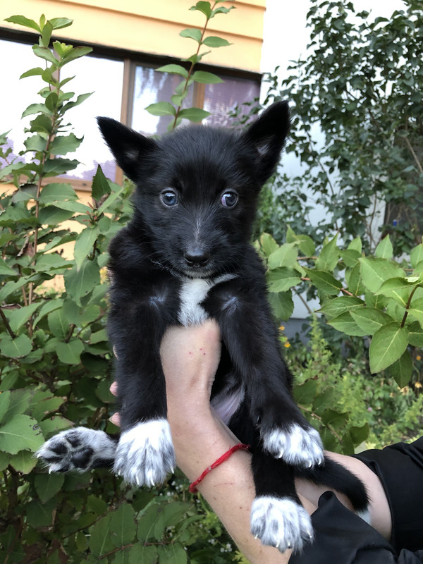 3006C4F5-4479-437F-988E-9A05174B93DA