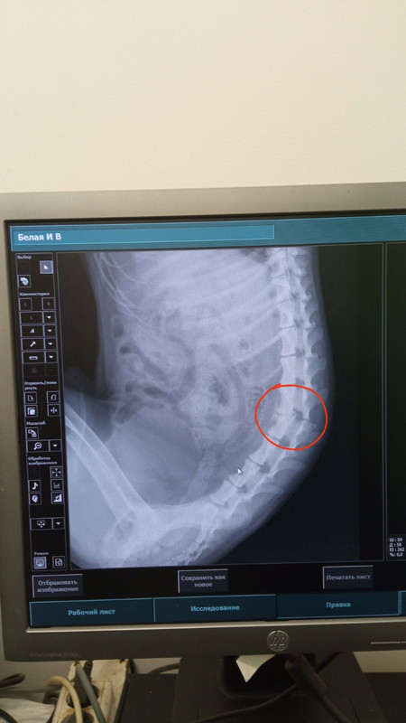 A5D1B9EE-2668-4C7D-9265-C0C1A4239353