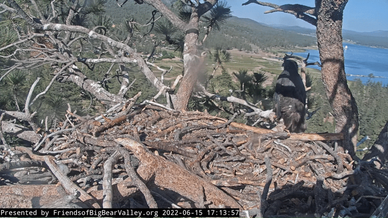 Webp.net-gifmaker (3) (1)