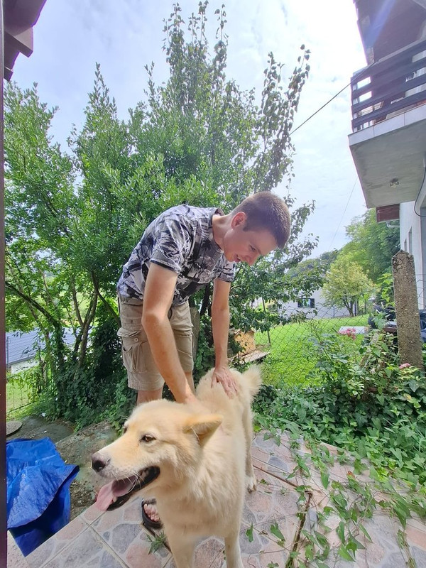 slika