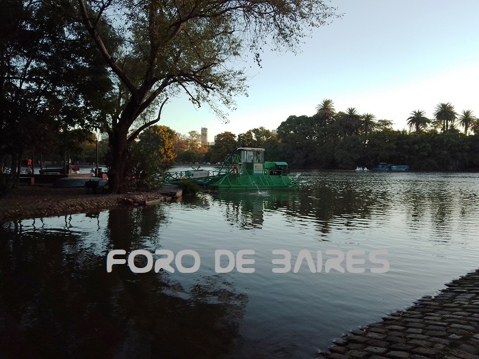 fotopalermolagoregatas5