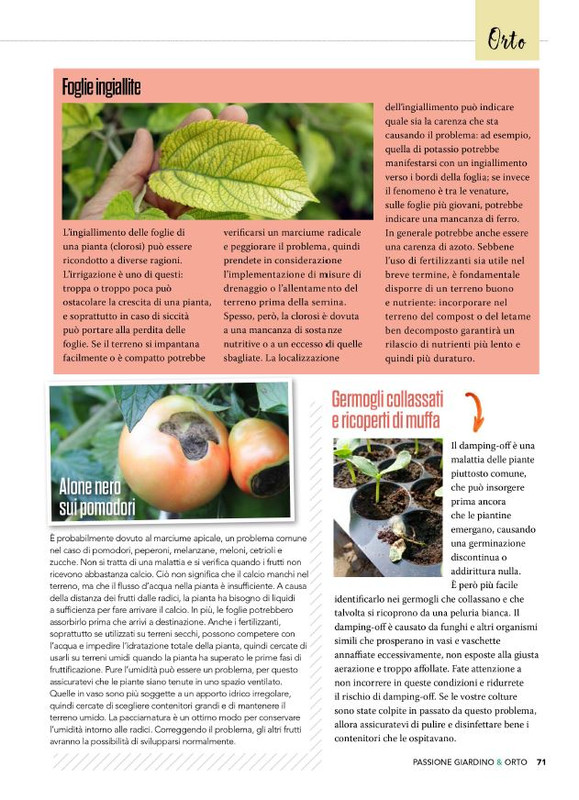 Pass Giar e Orto Giu 2025 (8)