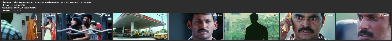 The-Fighter-Mard-No-1-Vedi-2019-Web-Rip-Hindi-1080p-8bit-x264-AVC-AAC-2-0-mkv