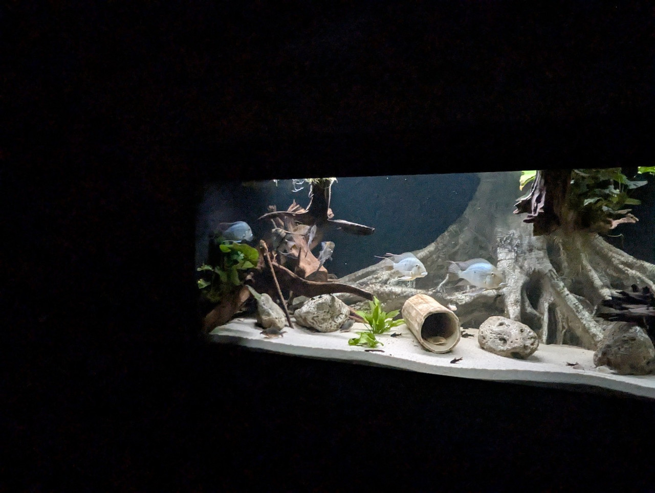 PXL 20251227 193804761 RAW 01 COVER