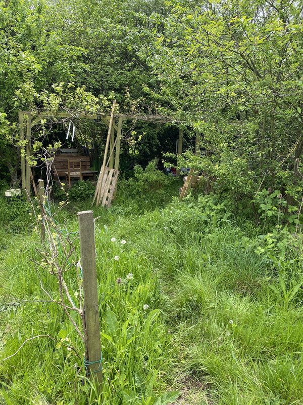 107FCBEF-5BB9-472F-94ED-158FD387E344