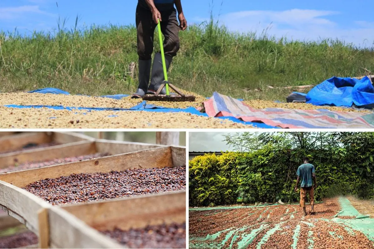 Lona agrícola para secado de granos CIKALA