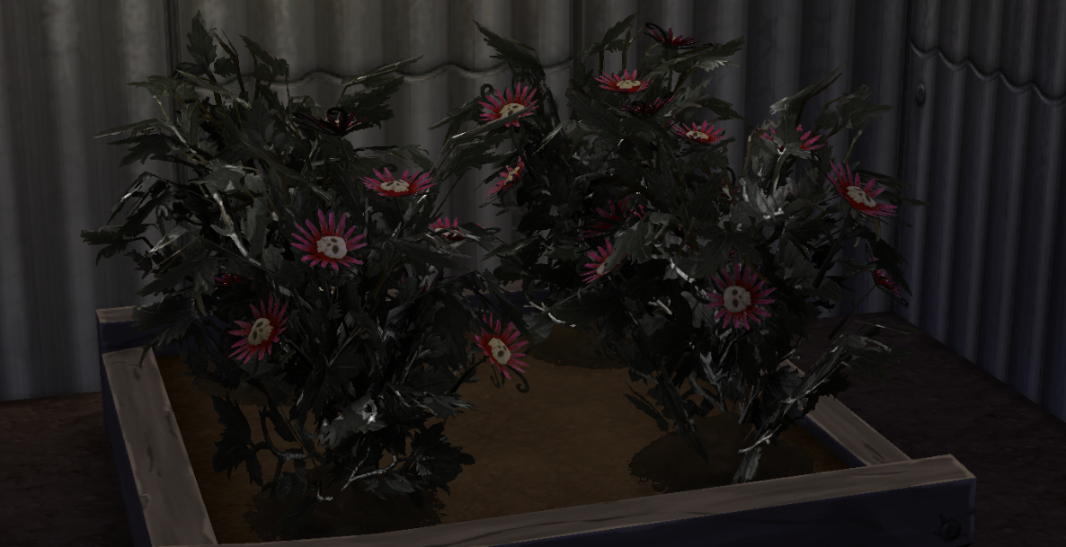 DEATH-FLOWERS-UP-CLOSE.png