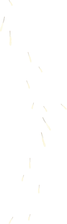 MagicSnowkitpudnwater