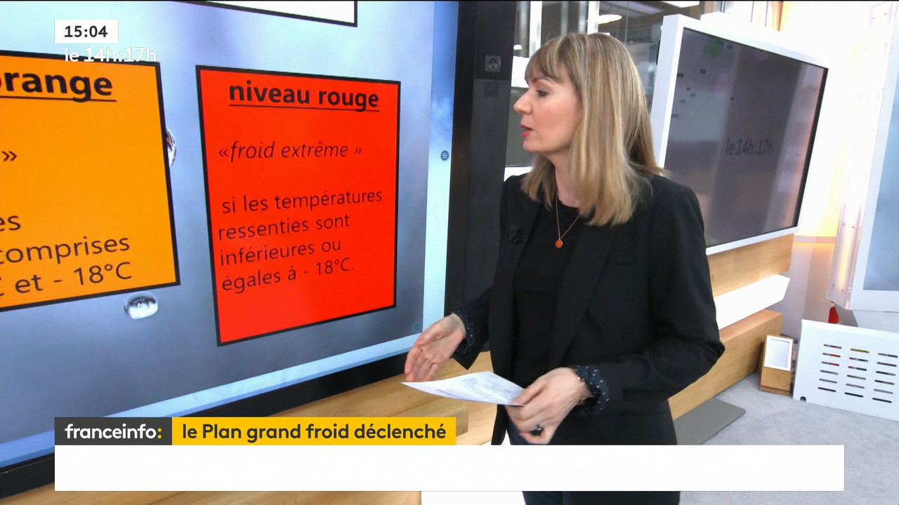 02.09 - 12.59.00 - Le 14h-17h. Au sommaire   Vrai ou fake. - francein..._001.ts_snapshot_00.12.055