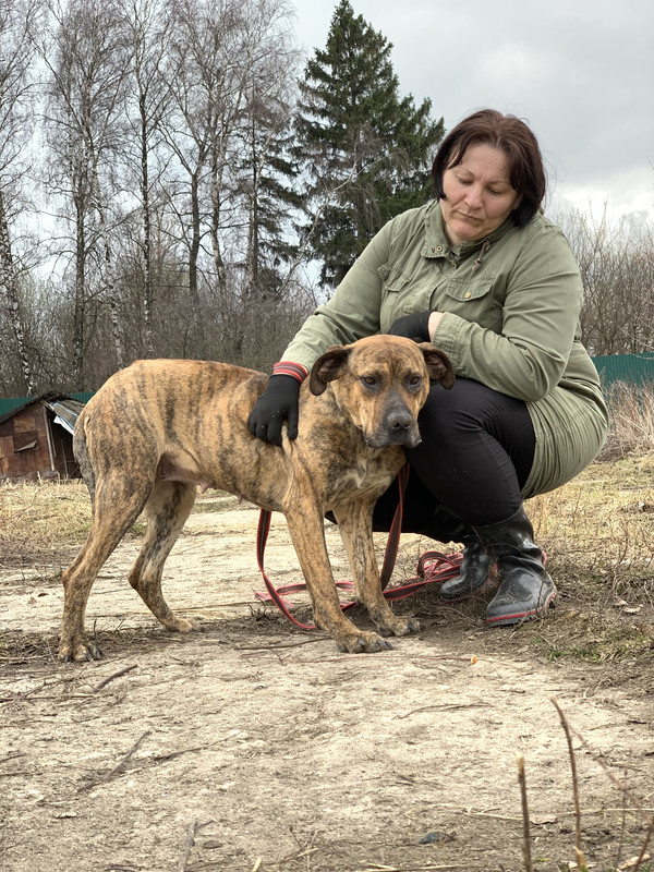 image-09-04-23-05-34-19 (1)