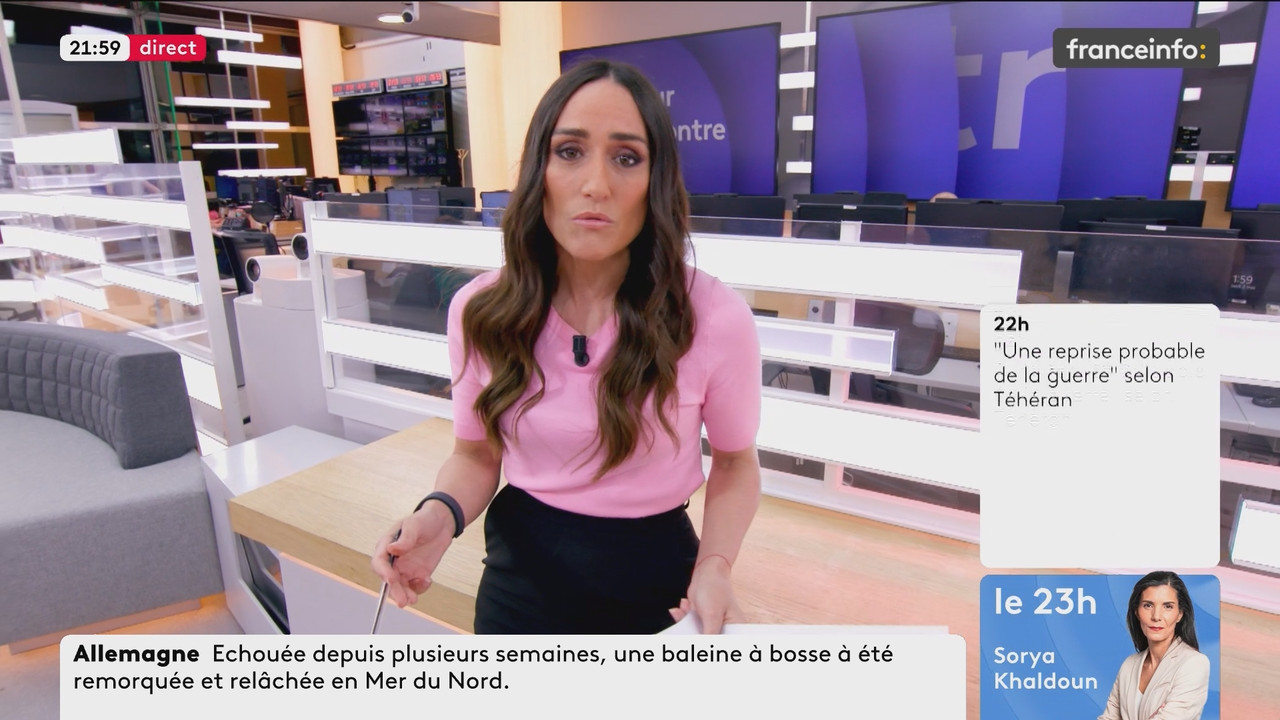 Le Pour et le Contre (Franceinfo) 2026 05 02 20 54 55 ts snapshot 00 06 26 117