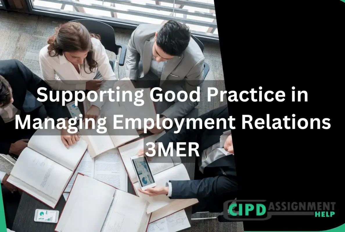 Supporting Good Practice in Managing Employment Relations 3MER