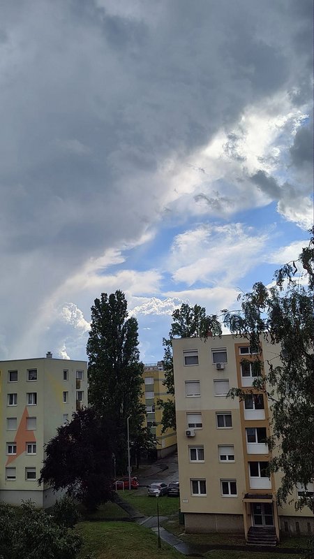 Kép