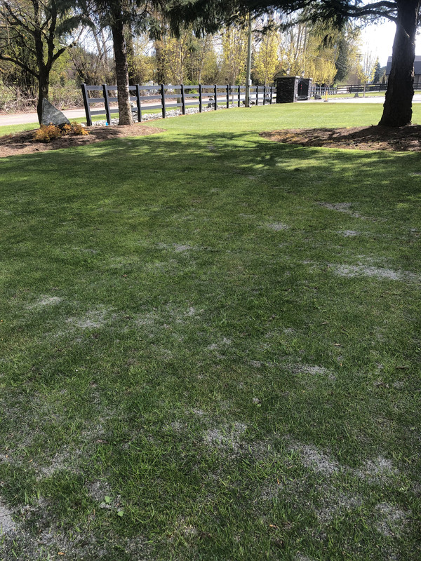 D24B69B1-49FA-42B1-87F1-8BF7342937BF