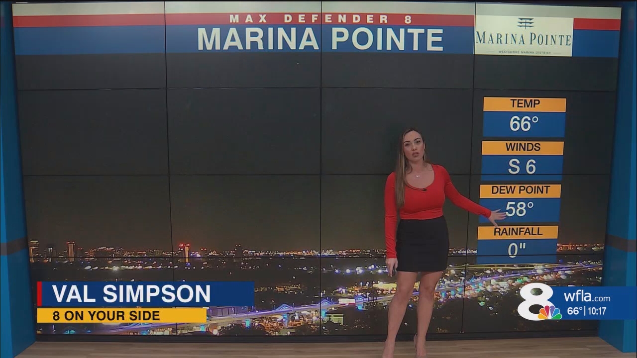 NewsChannel 8 News at 1000pm_20241116_03000330.ts_snapshot_18.38.042