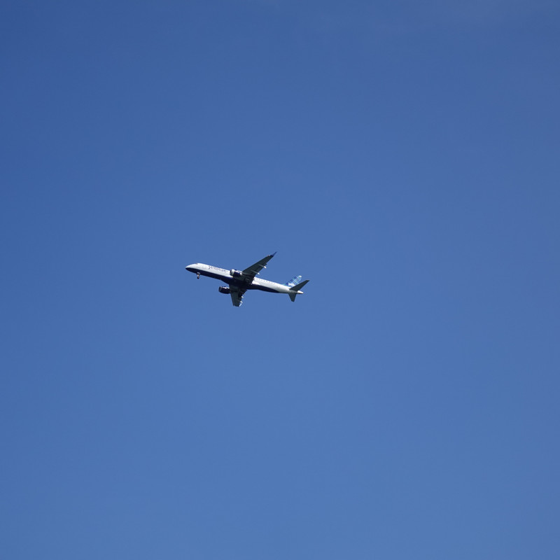ORG-DSC01259.jpg