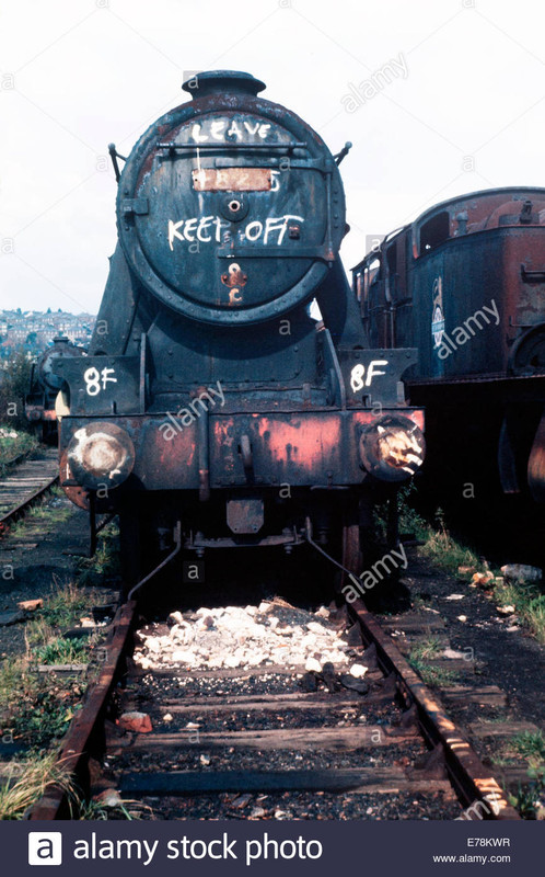 rusting-ex-british-rail-steam-locomotive-48305-standing-in-woodham-E78-KWR.jpg
