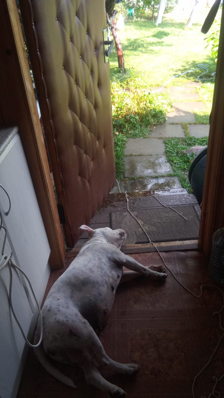 F2A7F598-F7E9-4719-91B9-E7F731E0DD74