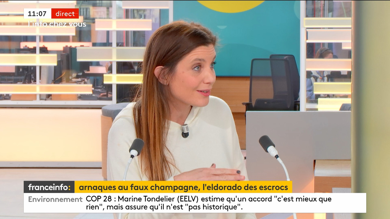 L'info chez vous (Franceinfo)_2023_12_14_09_24_04.ts_snapshot_00.43.51.357