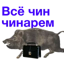 https://i.postimg.cc/MGLSHcFH/Kabanch-008.png