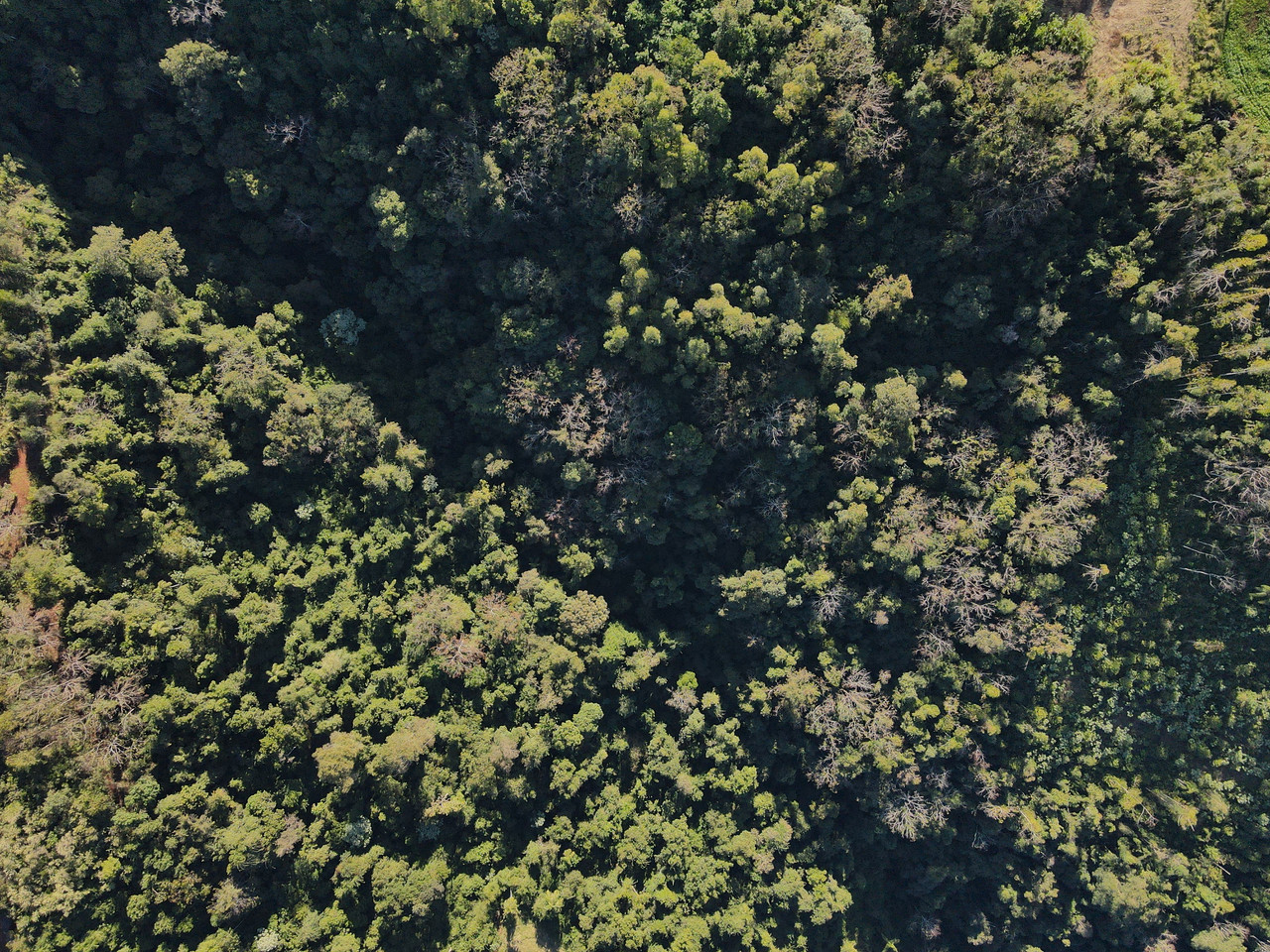 DJI-0462.jpg