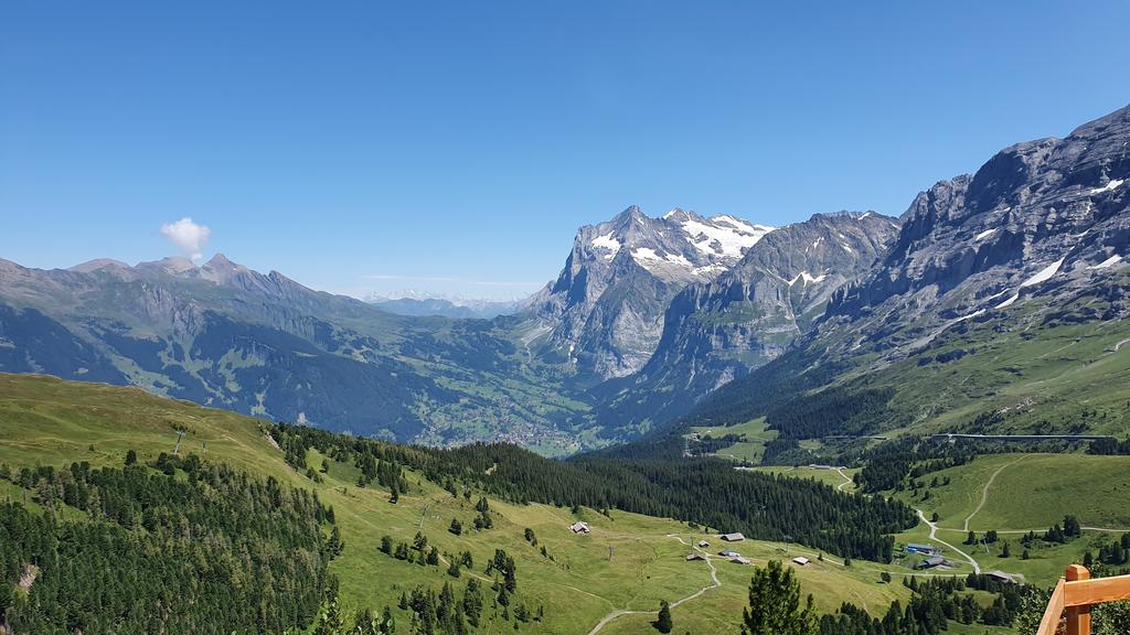 CÓMO SUIZA NOS ATRAPA POR 5º VERANO CONSECUTIVO + CARENNAC Y LOUBRESSAC - Blogs de Suiza - FIESTA NACIONAL EN KLEINE SCHEIDEGG (8)