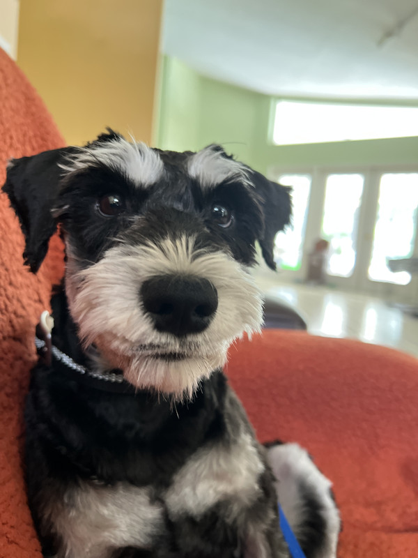 8AF95847-EA29-4E96-B478-70B636387B8A