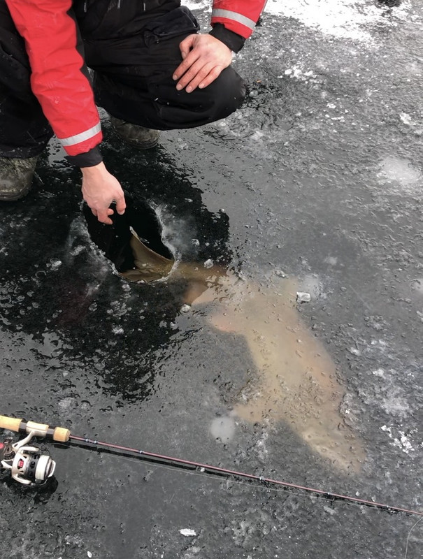 B44BFEB3-8442-4FD4-B60F-C6D16B04400B