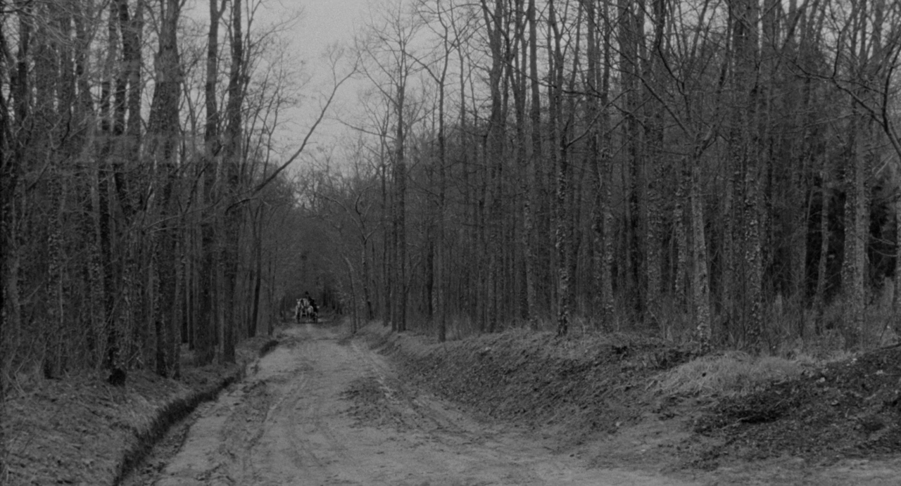 vlcsnap-2022-12-13-23h56m48s225