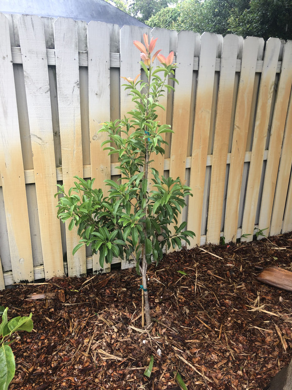 7A42A4C4-ABA7-4622-ABB8-34B76FF56BE6