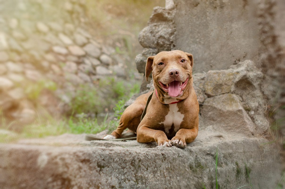 B0D32217-F59B-4086-933D-B9AC32C61A5E